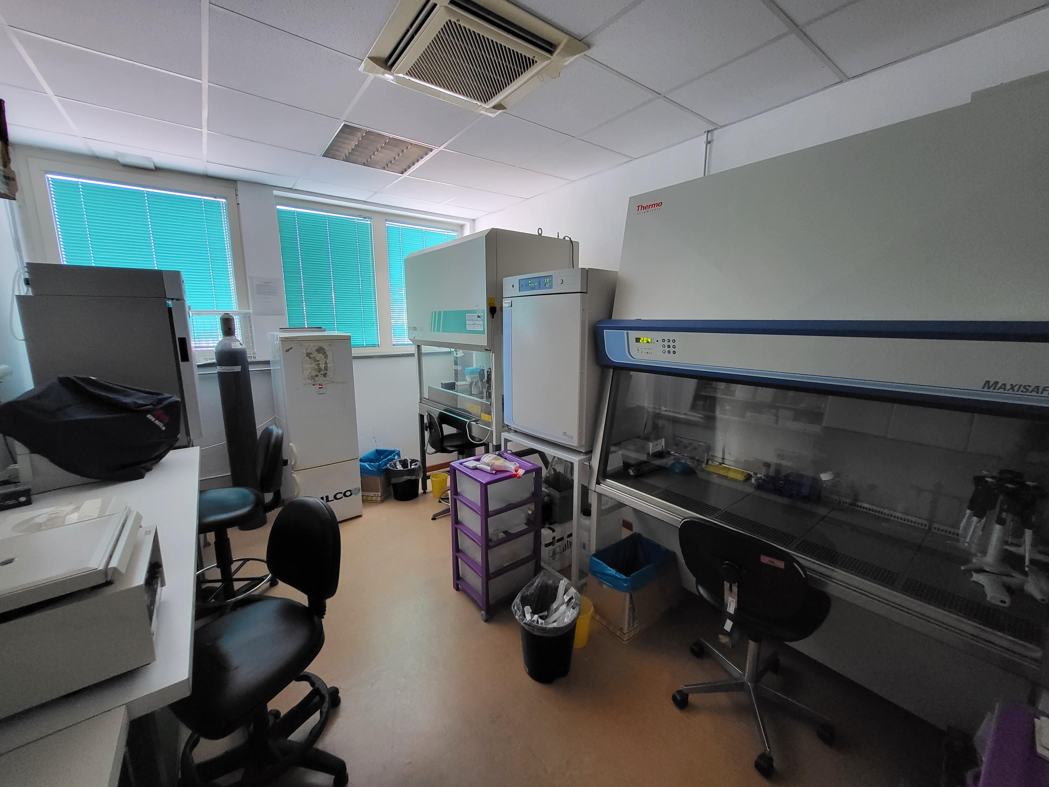 laboratorio immunologia