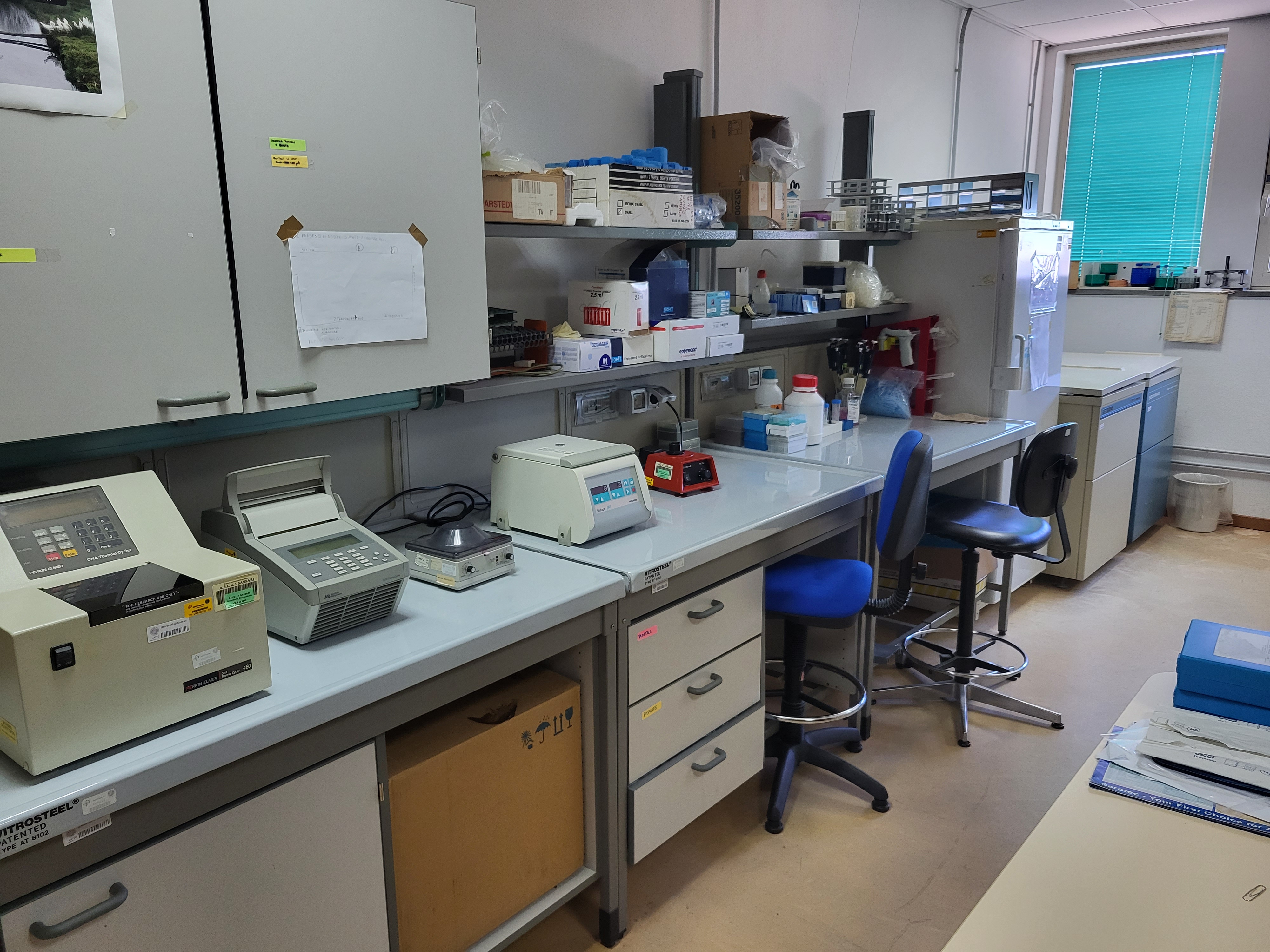 laboratorio immunologia