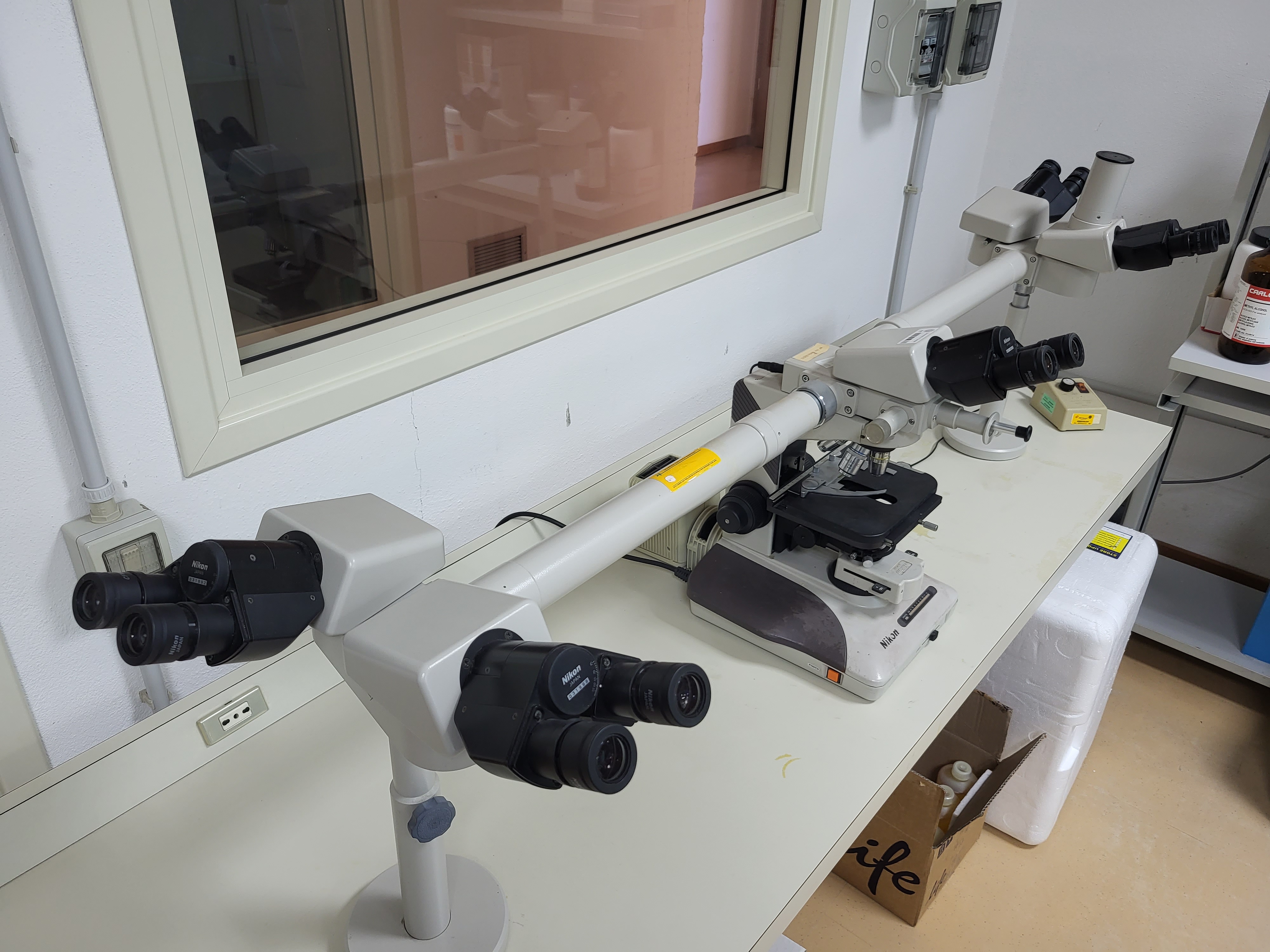 laboratorio immunologia