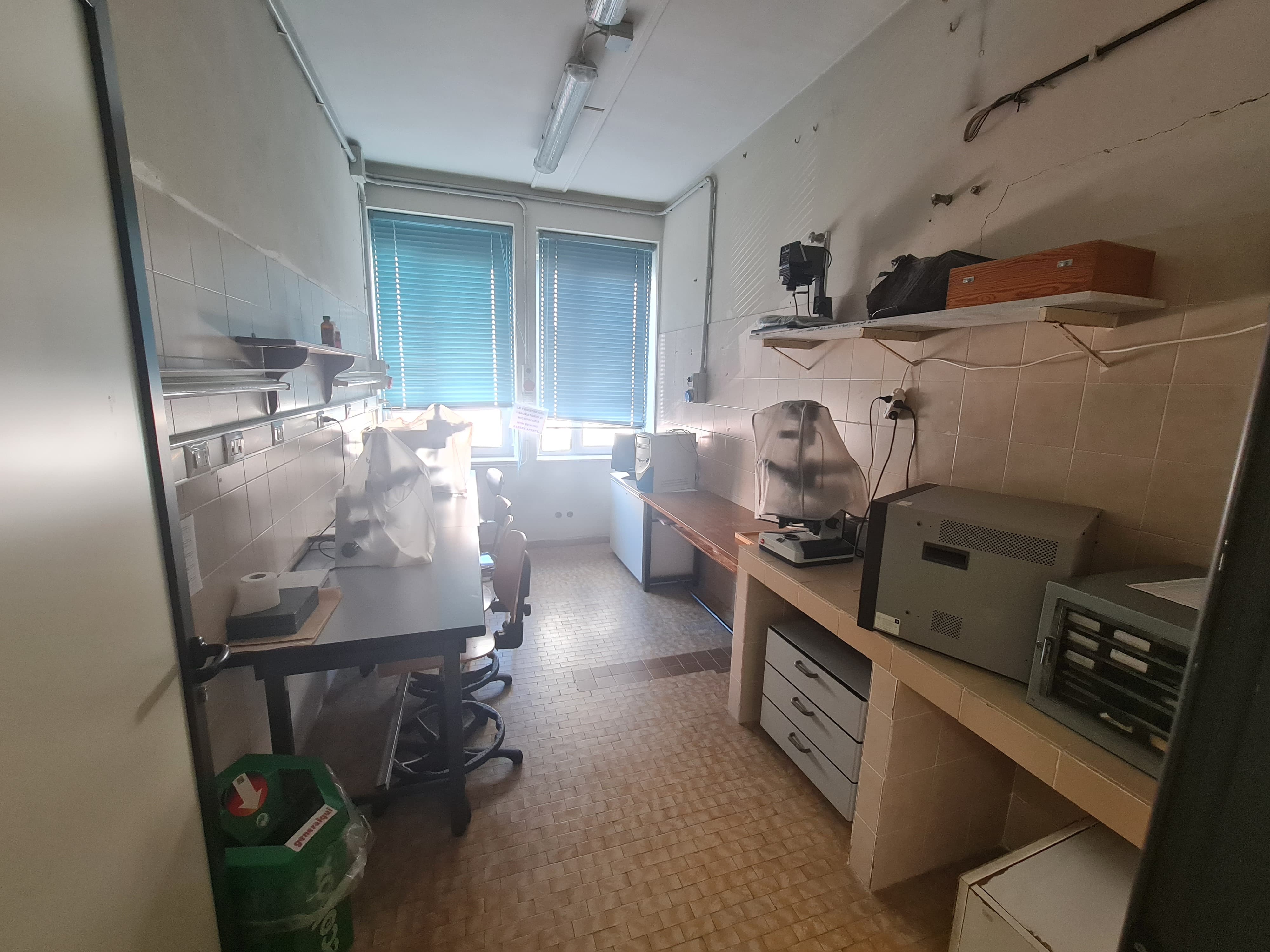 oncologia sperimentale