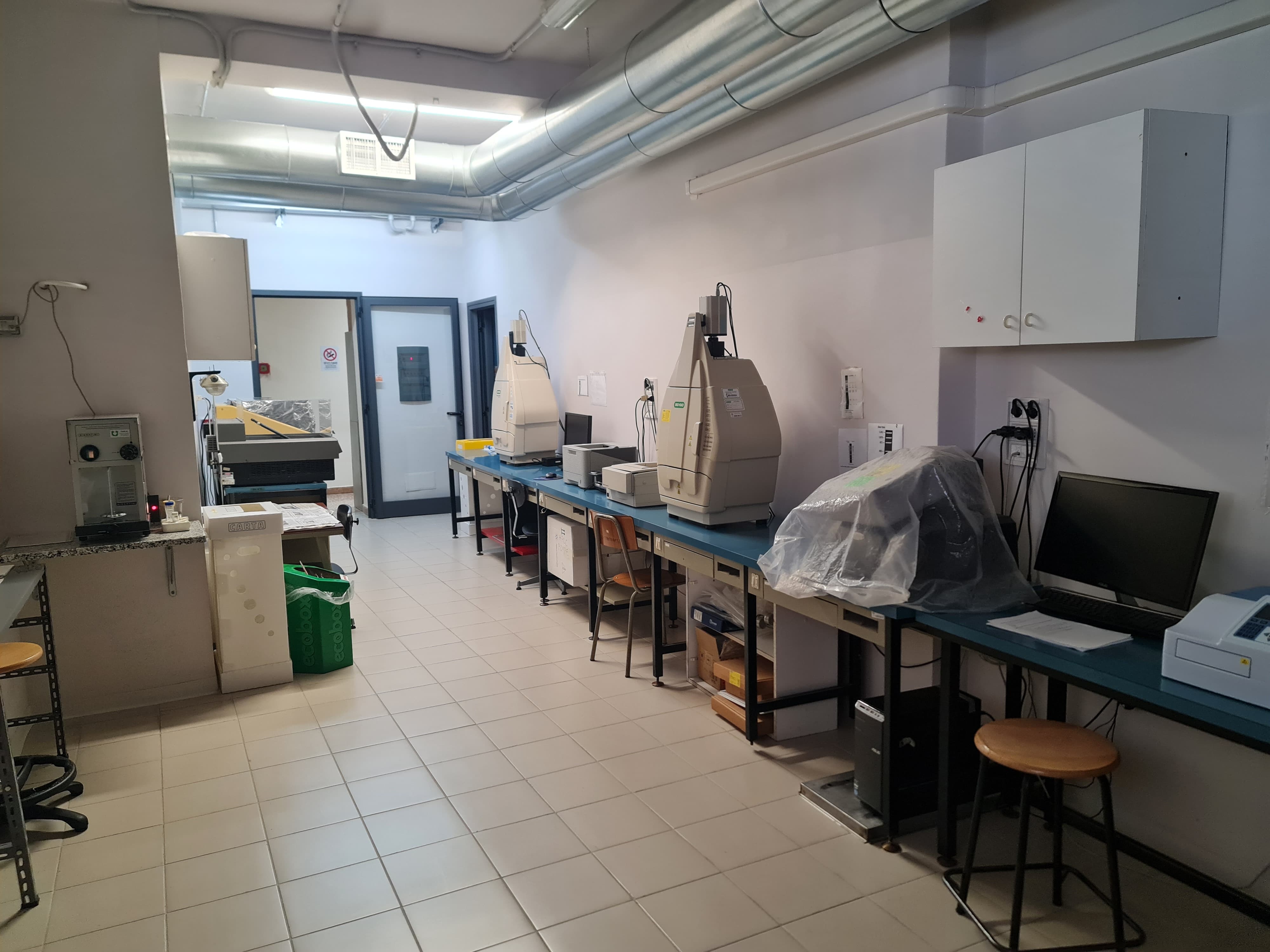 oncologia sperimentale