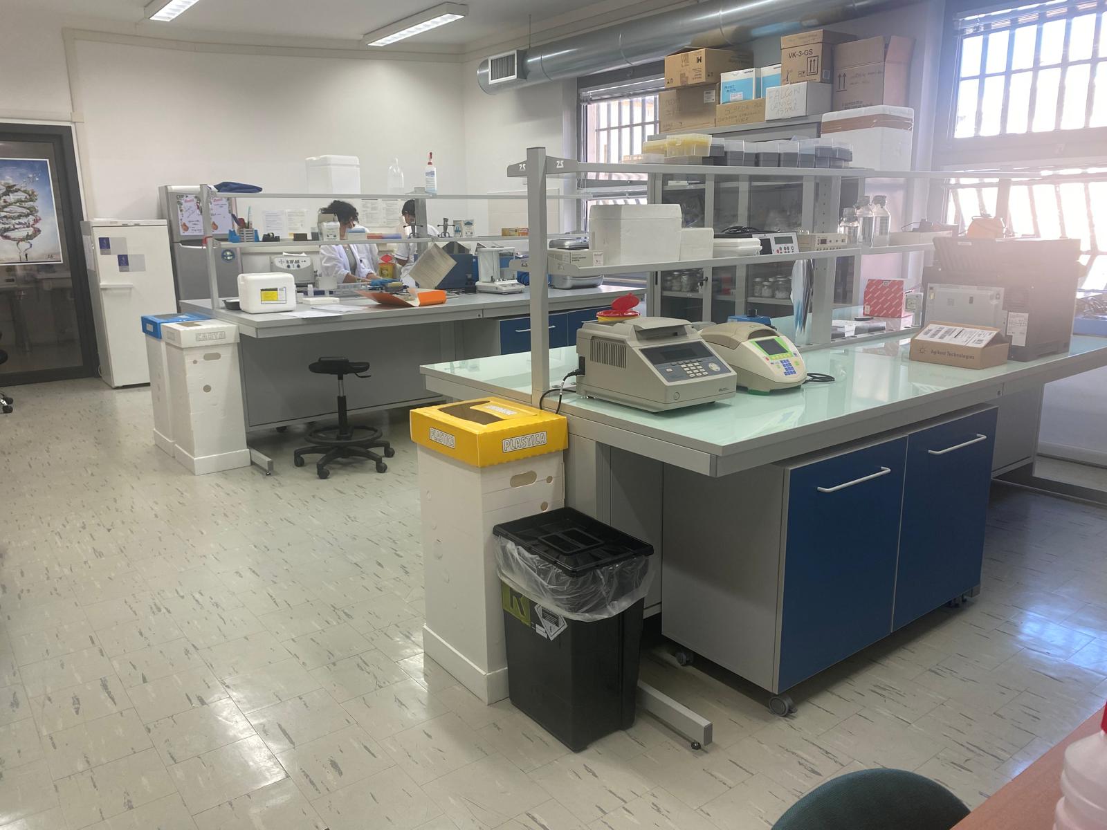 Laboratorio Patologia Molecolare 4