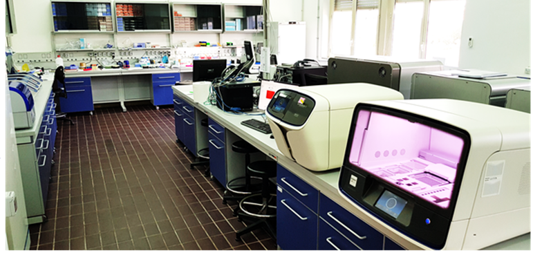 Laboratorio genetica 2