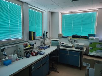 laboratorio immunologia